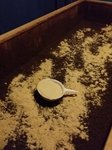 IMG_20170105_142229.jpg